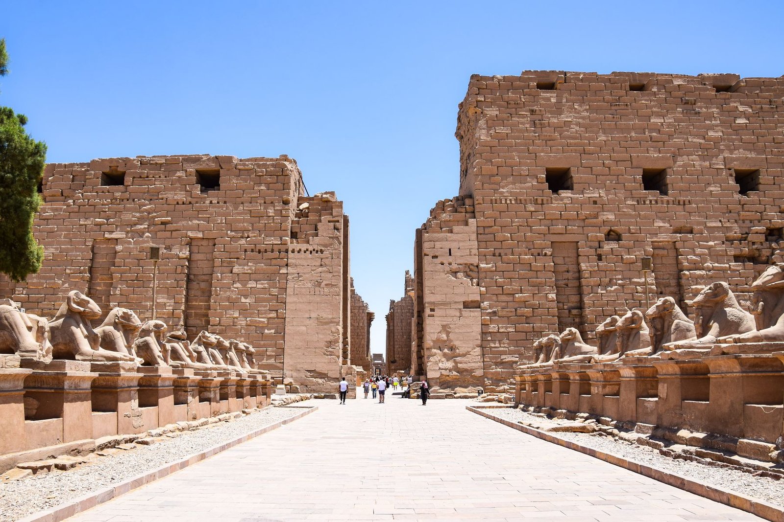 الإرشاد والتراث